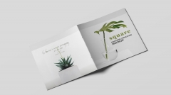 demo-attachment-1100-pic16